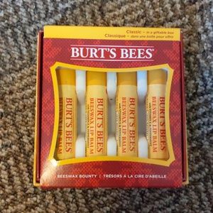 Burt's Bees chapstick (4-pack)